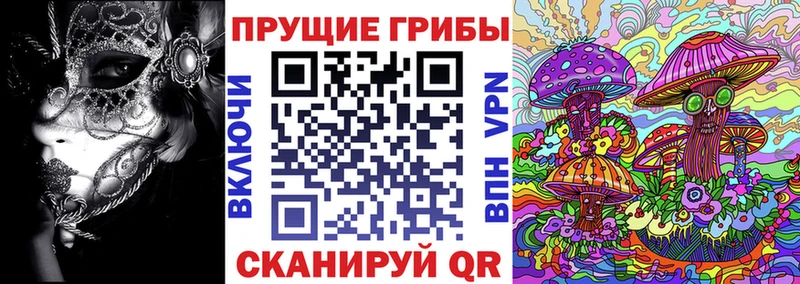 Псилоцибиновые грибы Psilocybe  Калининец 
